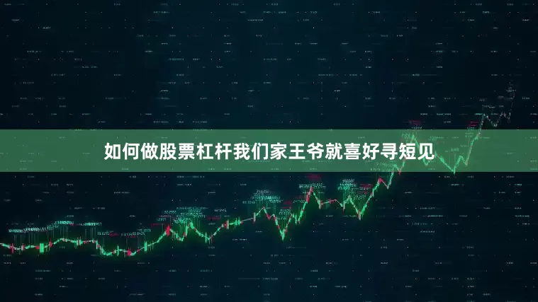 如何做股票杠杆我们家王爷就喜好寻短见
