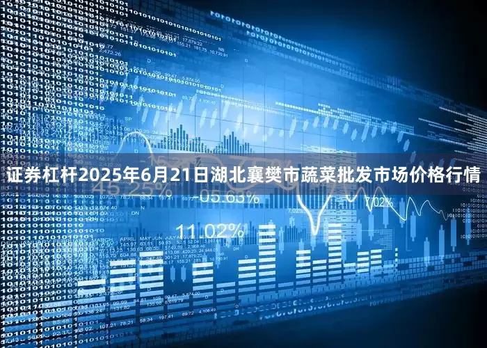 证券杠杆2025年6月21日湖北襄樊市蔬菜批发市场价格行情