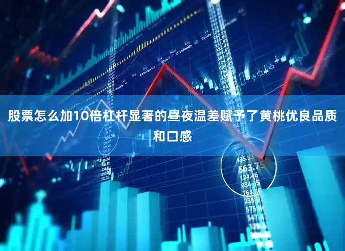 股票怎么加10倍杠杆显著的昼夜温差赋予了黄桃优良品质和口感
