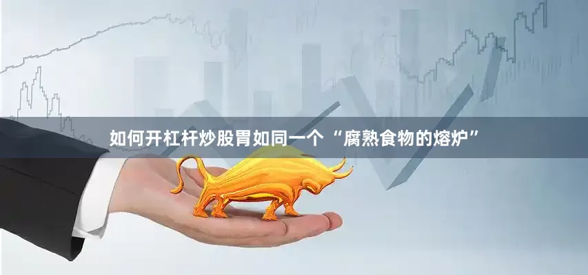 如何开杠杆炒股胃如同一个 “腐熟食物的熔炉”