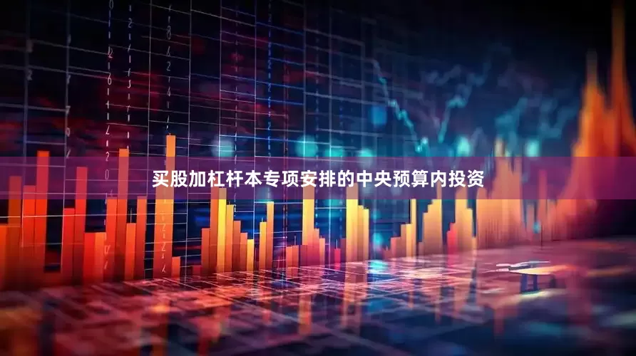 买股加杠杆本专项安排的中央预算内投资