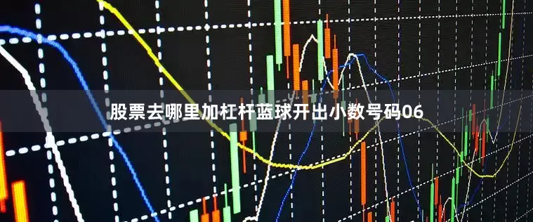 股票去哪里加杠杆蓝球开出小数号码06