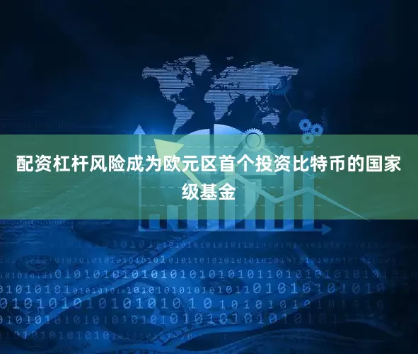 配资杠杆风险成为欧元区首个投资比特币的国家级基金